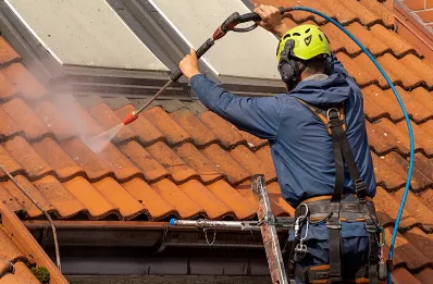 Démoussage et hydrofuge de toiture à Dollot